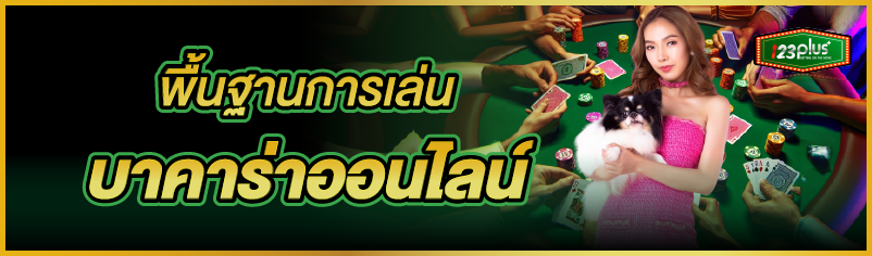 พื้นฐานการเล่นบาคาร่าอออนไลน์